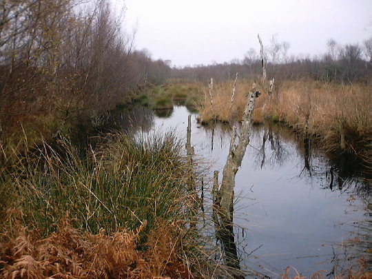 Thorne Moors: Thorne Moors